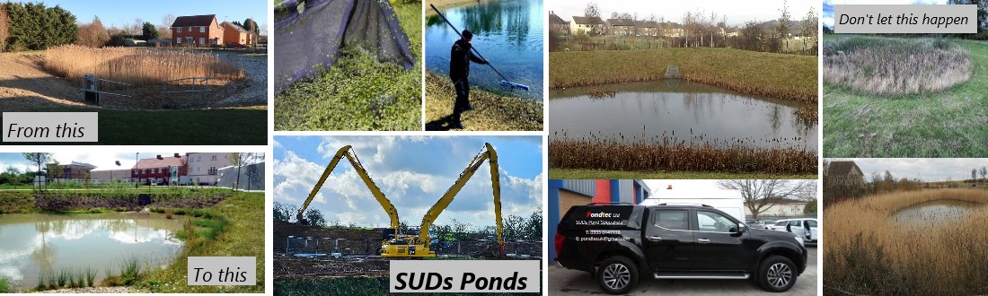 suds-ponds-image